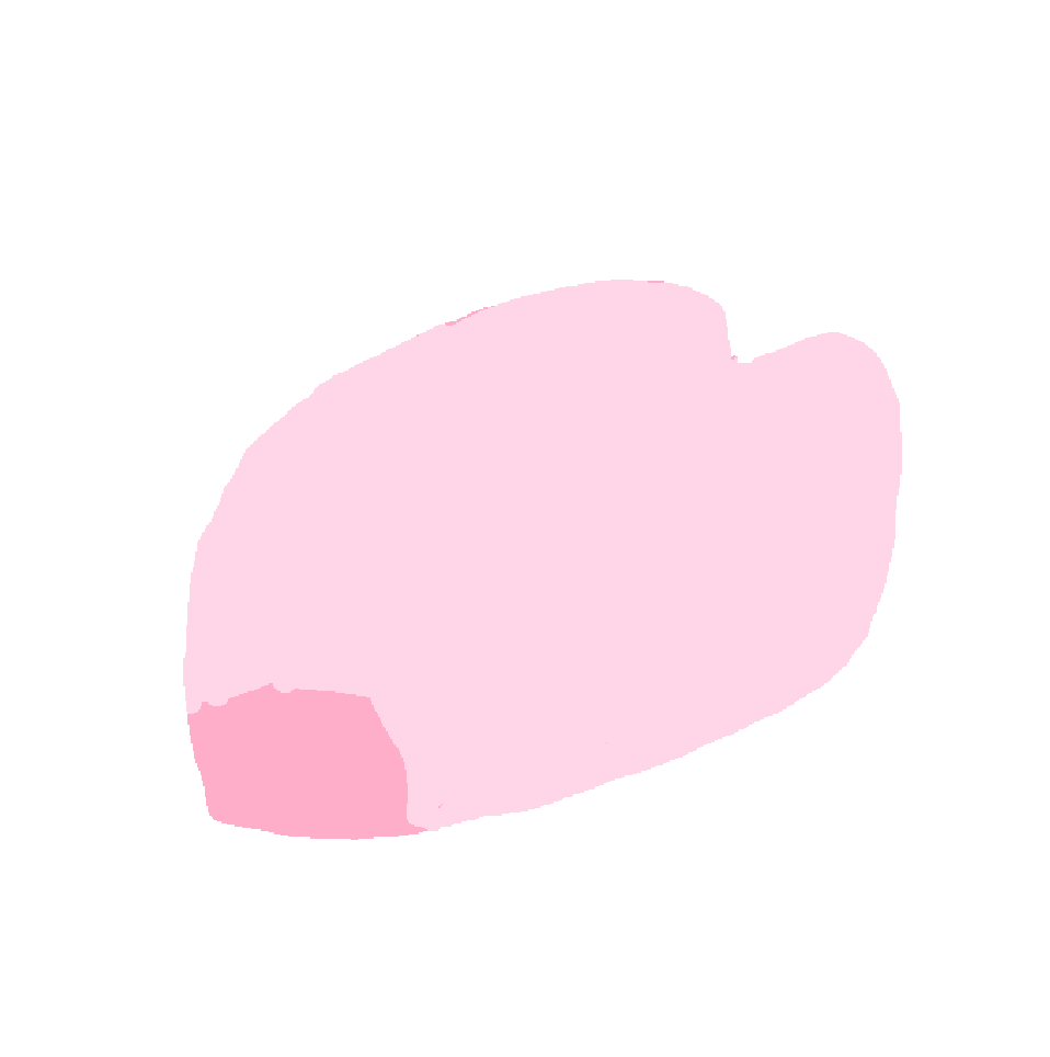 桜の花弁