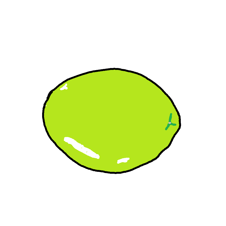 ヤシの実